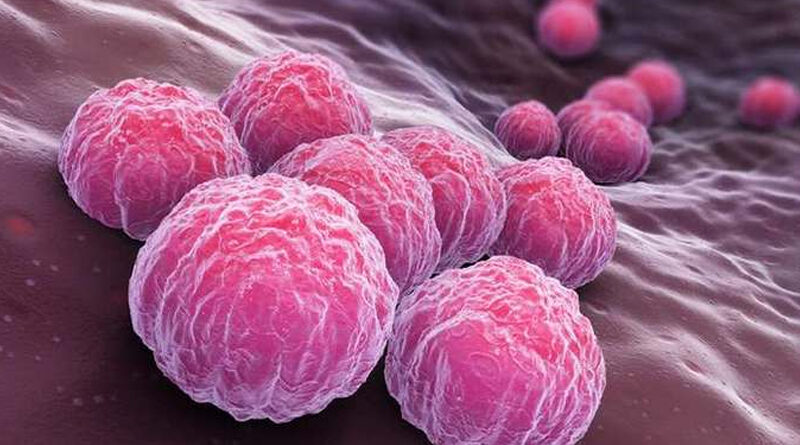 Image de la chlamydia'